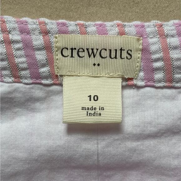 NWT J. Crew Factory Pink Metallic Striped Seersucker Button Front Dress Size 10 - Picture 3 of 7